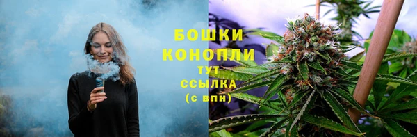 ГАЛЛЮЦИНОГЕННЫЕ ГРИБЫ Балабаново