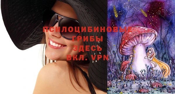 Альфа ПВП Баксан