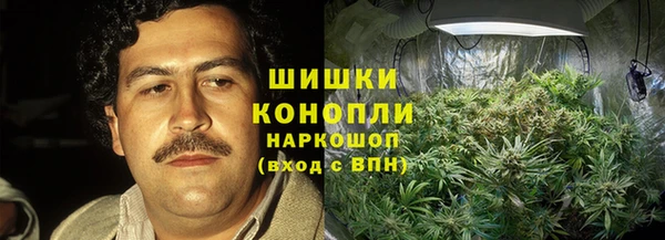 ГАЛЛЮЦИНОГЕННЫЕ ГРИБЫ Балабаново