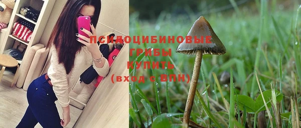 Альфа ПВП Баксан